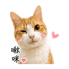 Uni賣萌篇