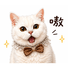 溜溜本貓