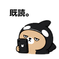 Shachikkuma Studio_20260504012514