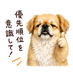 Uutare_20260504134841