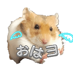 karen_20260504141338