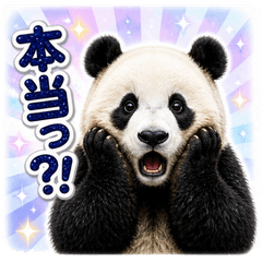 Panda's Always Useful [Contact & Cute]