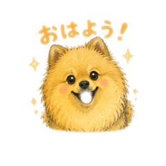 rikkirobe_20260504141949