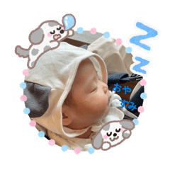 ayu tomy