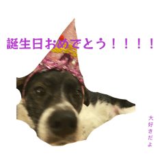 Hanachan2026