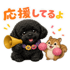 Black Toy Poodle & Tiny Friends