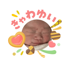shi-_20260504143609