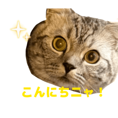 MISakuma_20260504143756