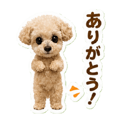 ezoten_20260504142450
