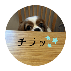 Komasan_20260504142841