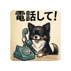 shunachiwa_20260504143326