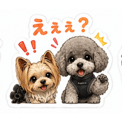 Cocosora_20260504144506