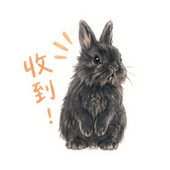 【砂糖卡通版：第一彈】獅子兔的耍萌日常