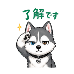 Cool but Silly!? Husky Stickers