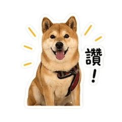 錢錢寶貝！