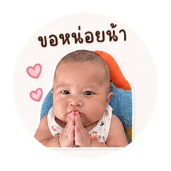 Puping_20260428131944