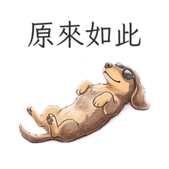 泡泡oo
