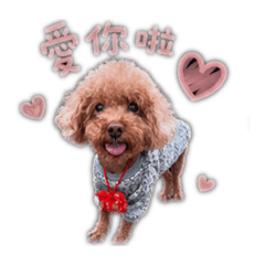 多多媽咪的寶