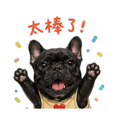 法鬥Molly 日常