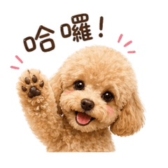 波奇是媽寶2