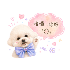 萬豬豬日常