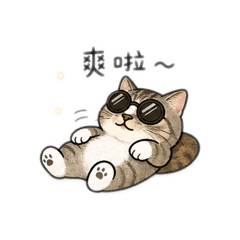 我是米克斯混美短喵