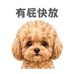 きなこ第二二二