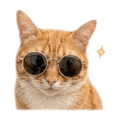 Rcoo of smallcat