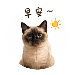 米噹表情包