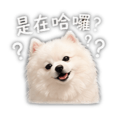 饅頭先生-3