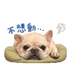 法鬥Q堡