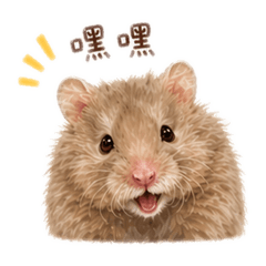 阿陶與蝦的大冒險