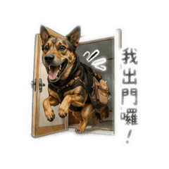 我是小妞 小妞是我(/ω＼)