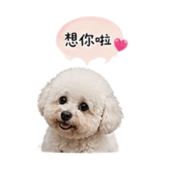 男子兄弟情