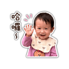 小酪梨的可愛禮貌日常