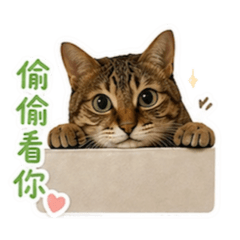 可愛的咪妮