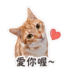 焦糖蜜糖小可愛