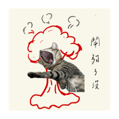 阿喵不喜歡sc