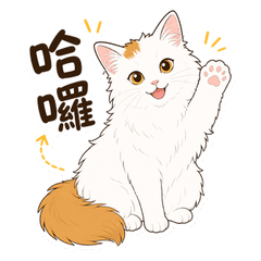 Fluffy White Orange Cat