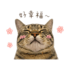 五月小朋友