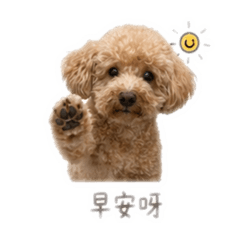 弟弟是底迪