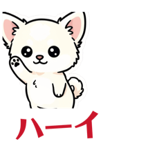 Kenjijp_20260504033004