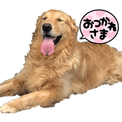 Gorobu-_20260504032428