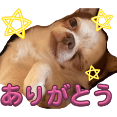 AINA_20260504033026