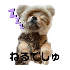iiko_ffcd_20260504032645