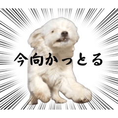 na_v_20260504025840