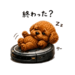 kara_20260504143239