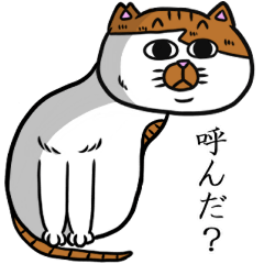 NYANMARUKE3