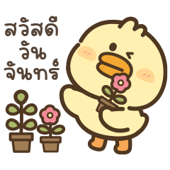 Cute Duck "Mori" V.27 - Cute chat