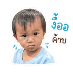 Dao_20260428132152